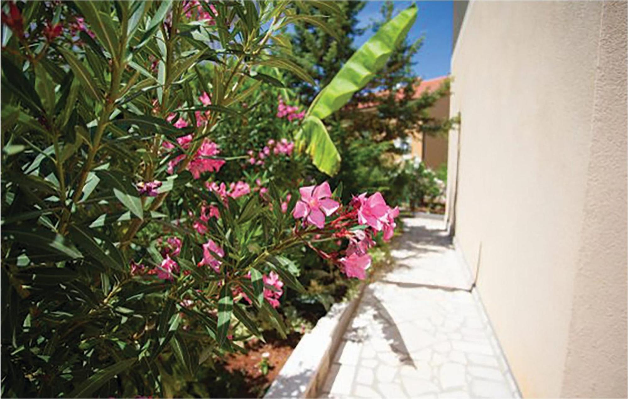 1 Bedroom Beautiful Apartment In مالينسكا المظهر الخارجي الصورة